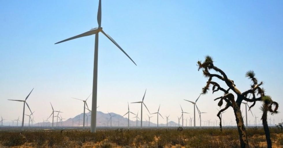 The Trump administration is weighing a 70-percent cut to the Energy Department's office of Energy Efficiency & Renewable Energ, a draft proposal obtained by Axios shows. (Photo: Steve Boland/flickr/cc)