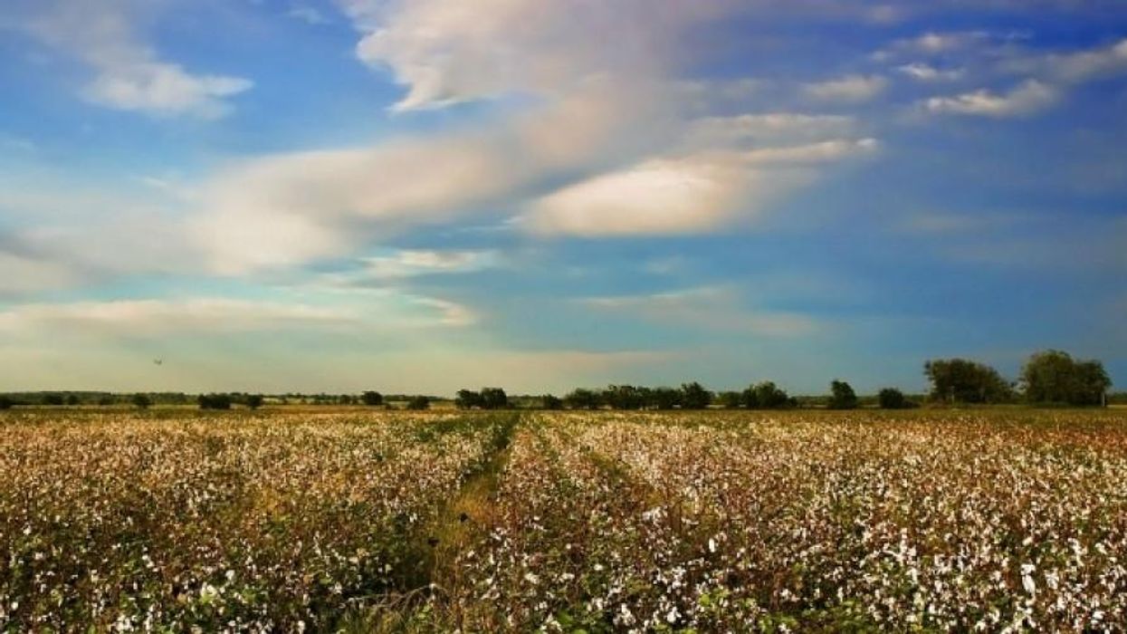 Amidst Public Health and Economic Crises, Trump Pushes GMO Crops in Wildlife Refuges