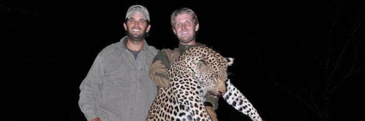 After Calling Practice 'A Horror Show,' Trump Reverses Ban on Animal Trophy Imports