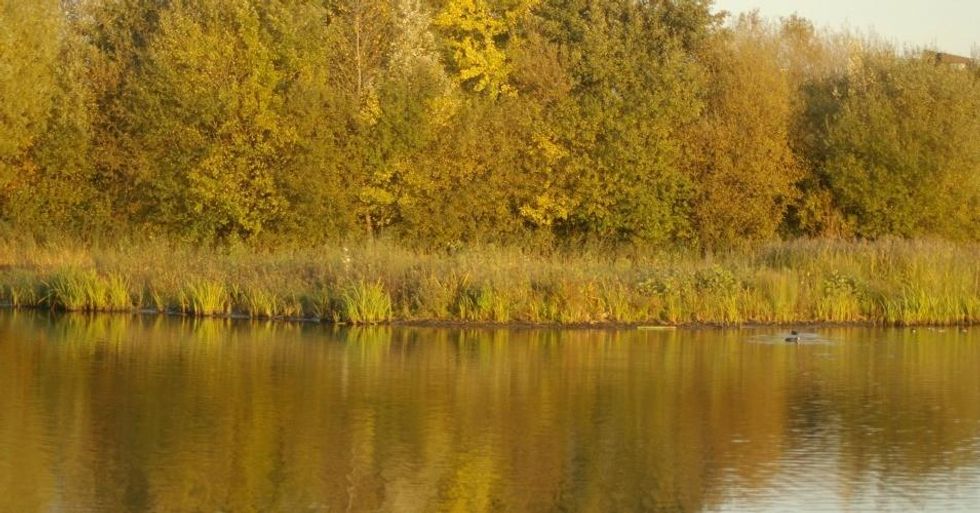 The Trump administration unveiled a regulatory rollback of the Waters of the U.S. rule, meant to protect streams and wetlands from pollution and development. (Photo: Laurence Arnold/Flickr/cc)