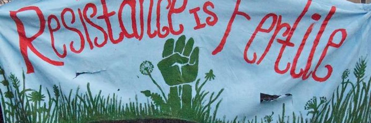 Feeling Not Quite So Hopeless in a World on the Skids