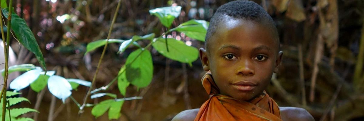 A Colonialist Land Grab Is Happening Right Now in Congo