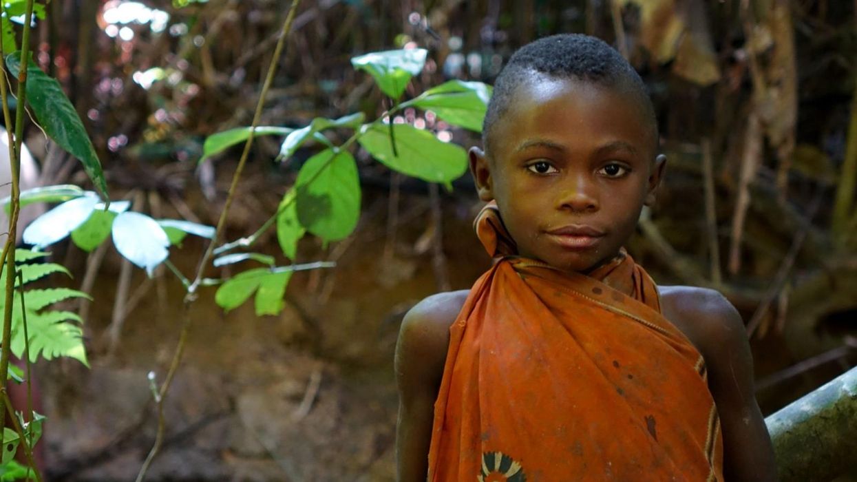 A Colonialist Land Grab Is Happening Right Now in Congo