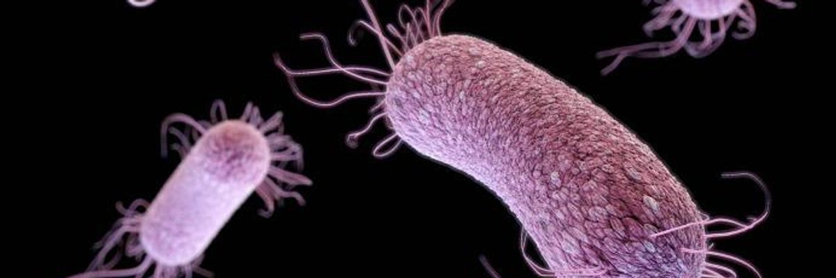 The US Superbug Crisis Growing as National Tracking Efforts Fall Far Short