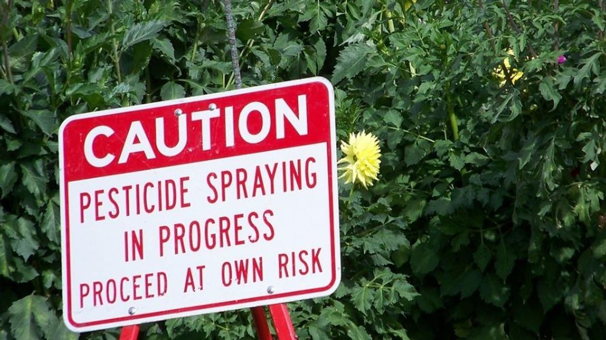 Big Agriculture Is the Problem