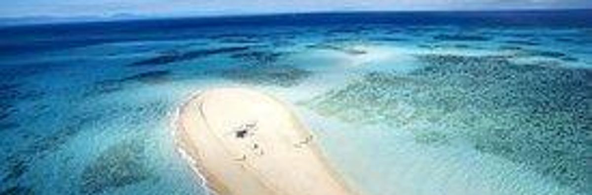 'Shameful': UNESCO Warns Australia Over Destruction of Great Barrier Reef