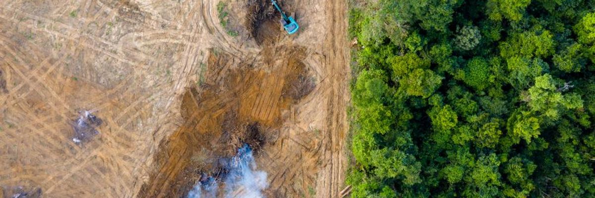 Who's Burning the Amazon?