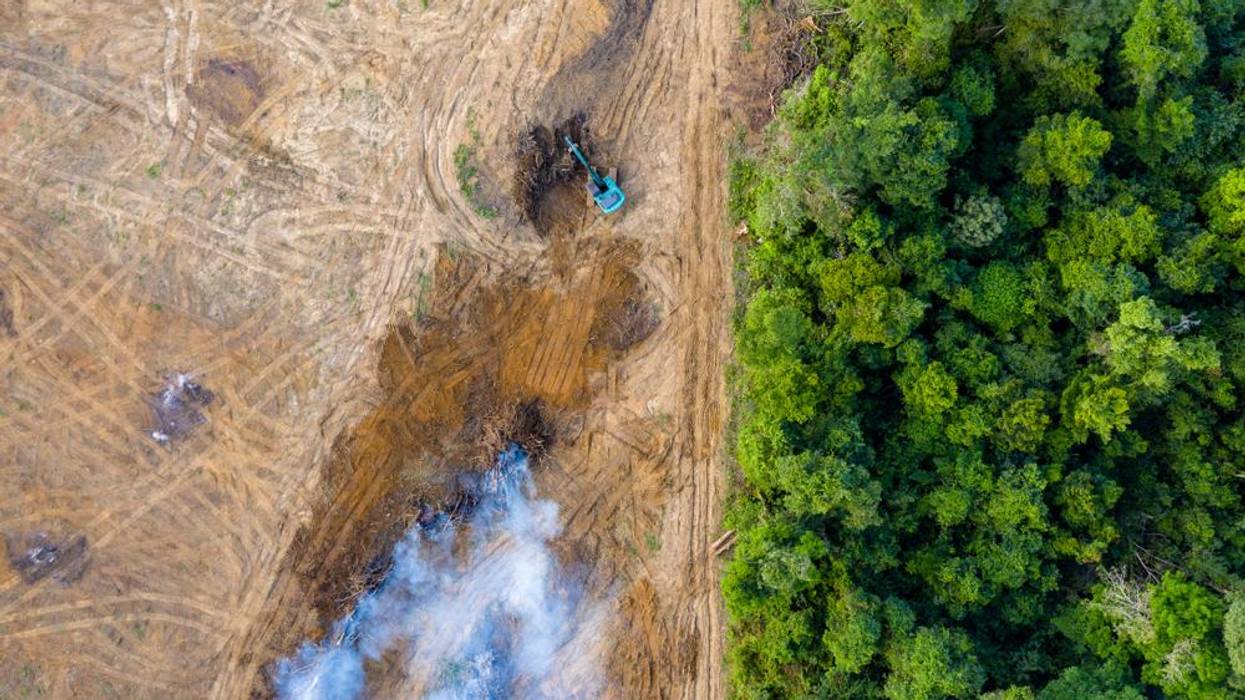 Who's Burning the Amazon?