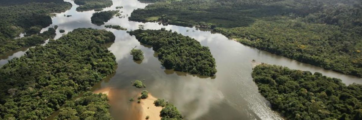 Experts Mapped Global Hotspots Where Restoring Tropical Rainforests Would Be Most Beneficial and Least Costly and Risky