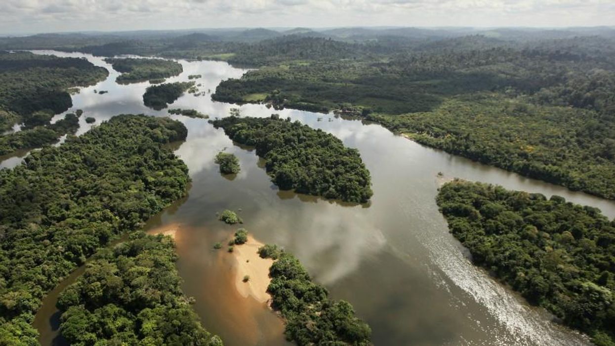 Experts Mapped Global Hotspots Where Restoring Tropical Rainforests Would Be Most Beneficial and Least Costly and Risky