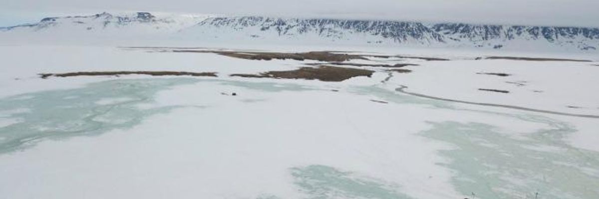 In Twist of Climate Crisis, Study Finds Extreme Arctic Snowfall in 2018 Caused Near 'Complete Reproductive Failure of Plants and Animals'