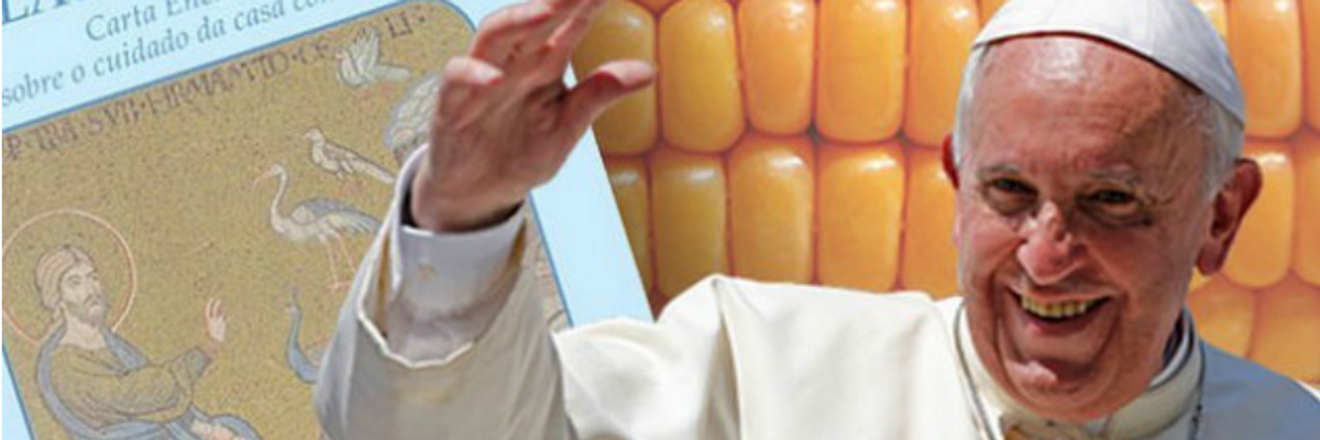 Pope Francis Joins Battle Against Transgenic Crops