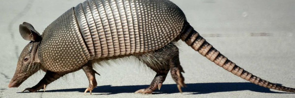 Beware the Moderate Democrat