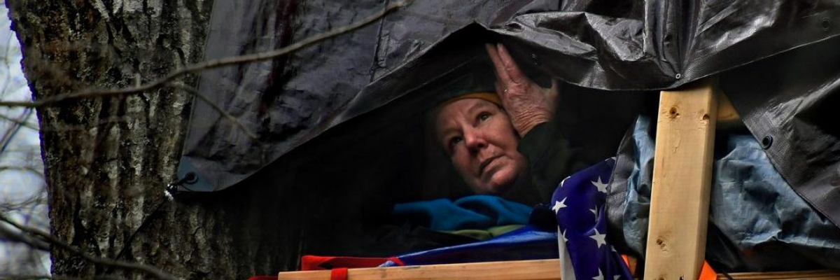 With Treetop Protest, 61-Year-Old Red Terry Is Leading Fight Against Mountain Valley Pipeline