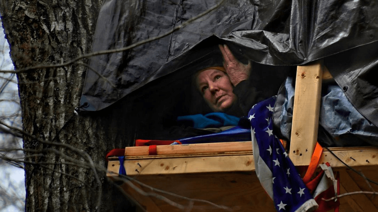 With Treetop Protest, 61-Year-Old Red Terry Is Leading Fight Against Mountain Valley Pipeline
