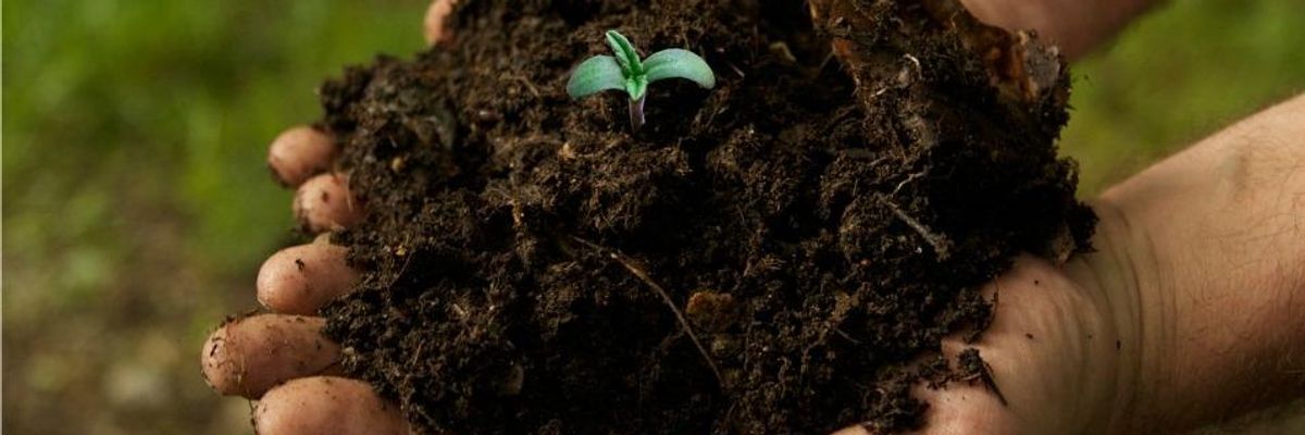 A Climate Change Solution No One's Talking About: Better Land Use