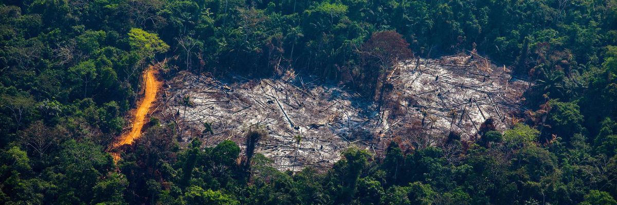 This aerial view shows Amazon forest degradation in the Menkragnoti Indigenous Territory in Altamira, Pará state, Brazil, on August 28, 2019.