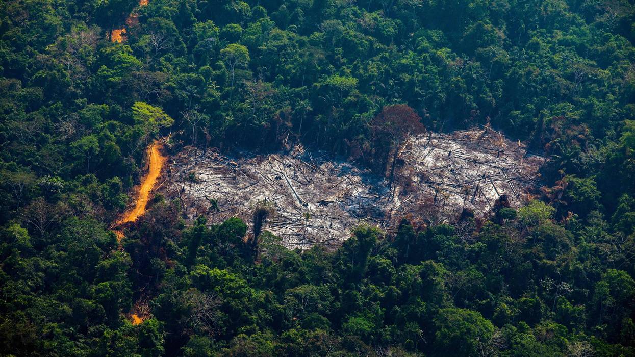This aerial view shows Amazon forest degradation in the Menkragnoti Indigenous Territory in Altamira, Pará state, Brazil.