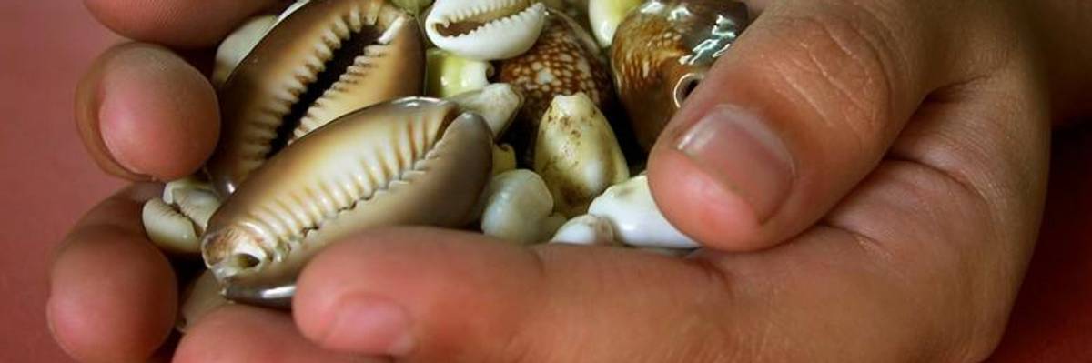 Don't Be Fooled by Sinclair's Shell Games