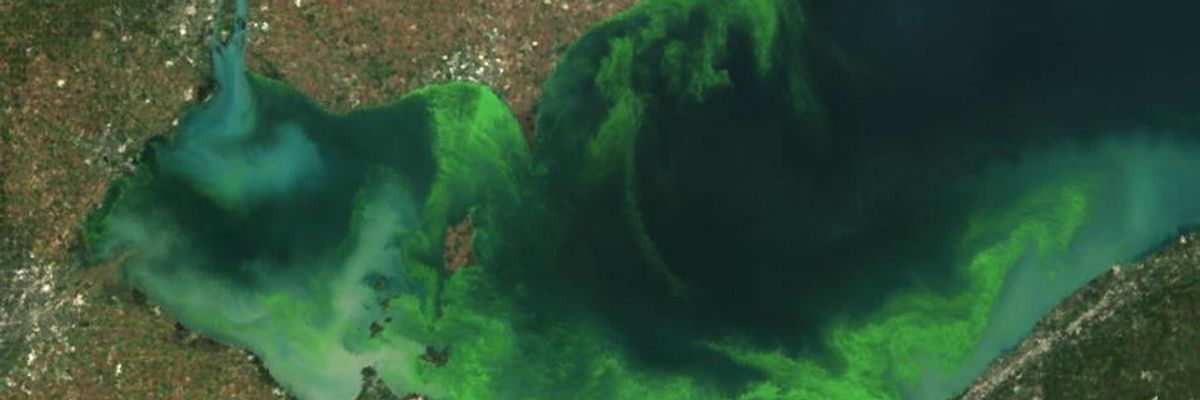 Ohio City Lifts Drinking Water Ban, But Fears Remain over Lake Erie Toxins