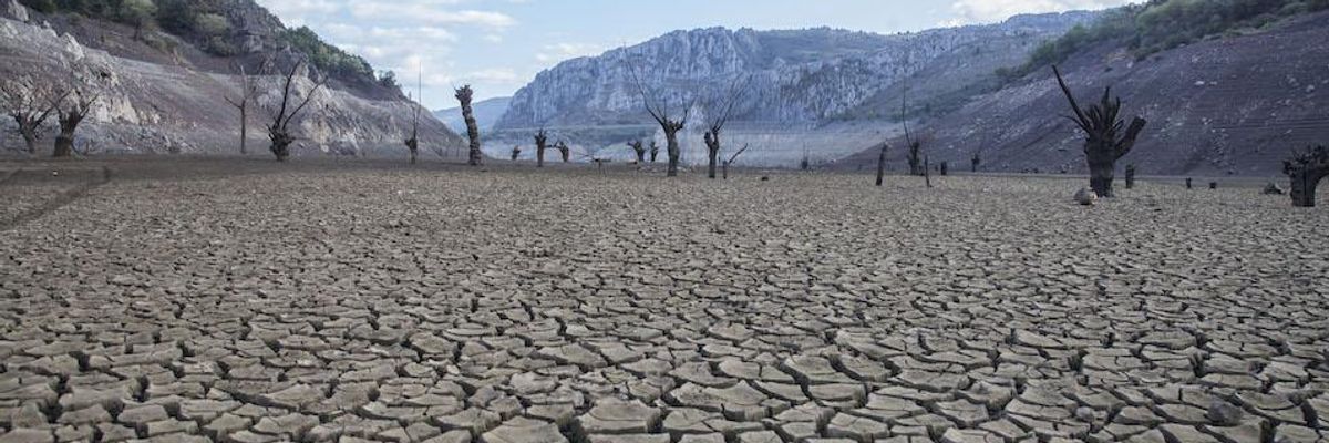 'Climate Change Is Here': Europe's Recent Droughts 'Unprecedented' in Millennia, Study Finds