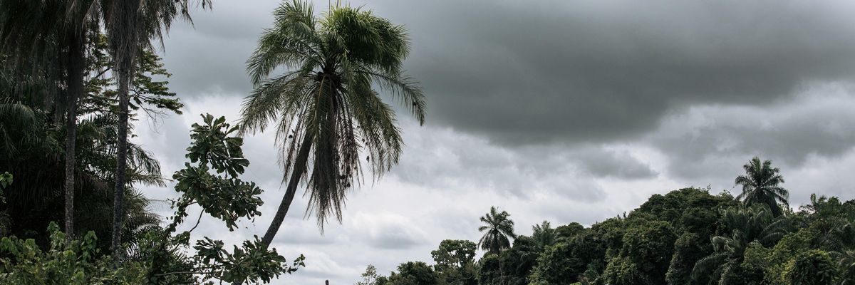 This photograph taken on October 24, 2021 shows the mangrove forest at the mouth of the Congo River in the extreme southwest of the Democratic Republic of Congo.