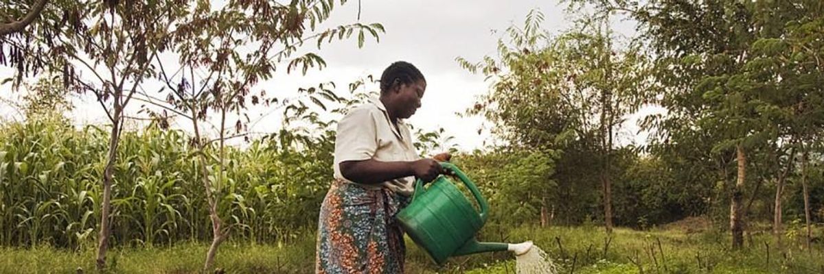 Global Peasant Declaration Represents Huge Advance for Human Rights