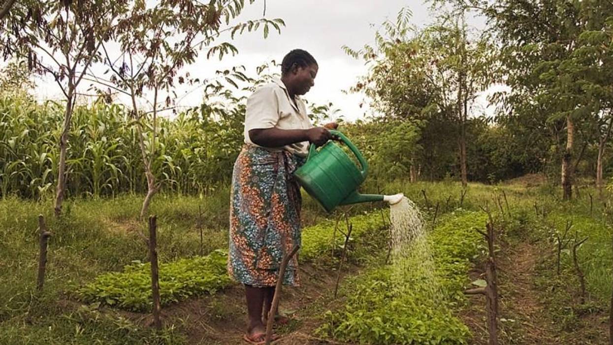 Global Peasant Declaration Represents Huge Advance for Human Rights