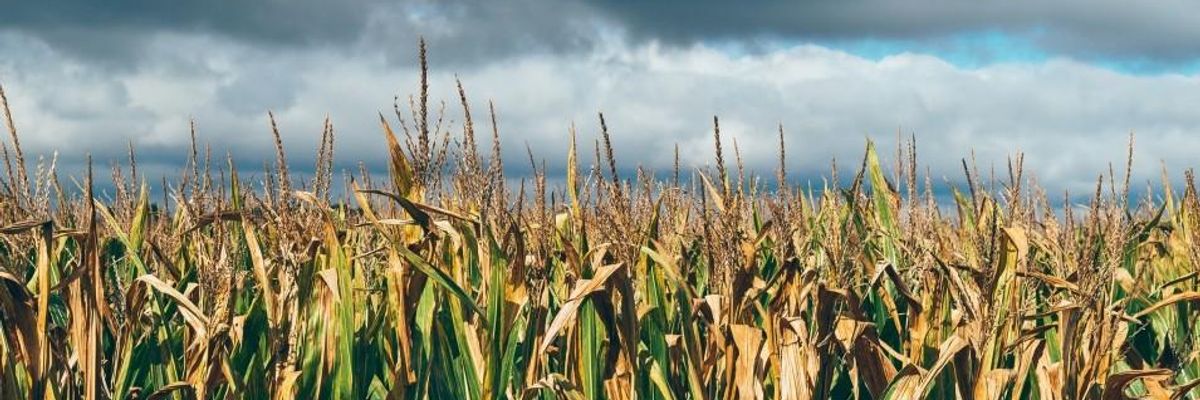USDA to Biotech: Call Your Own Compliance