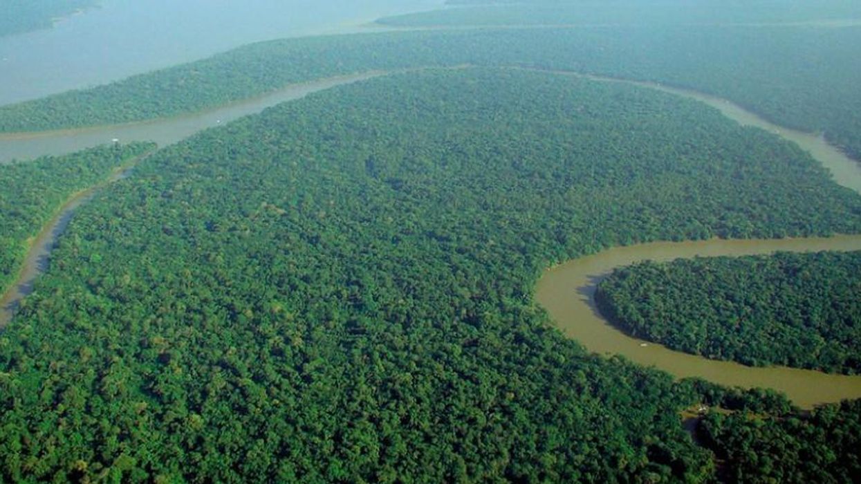 The Cure of the Earth