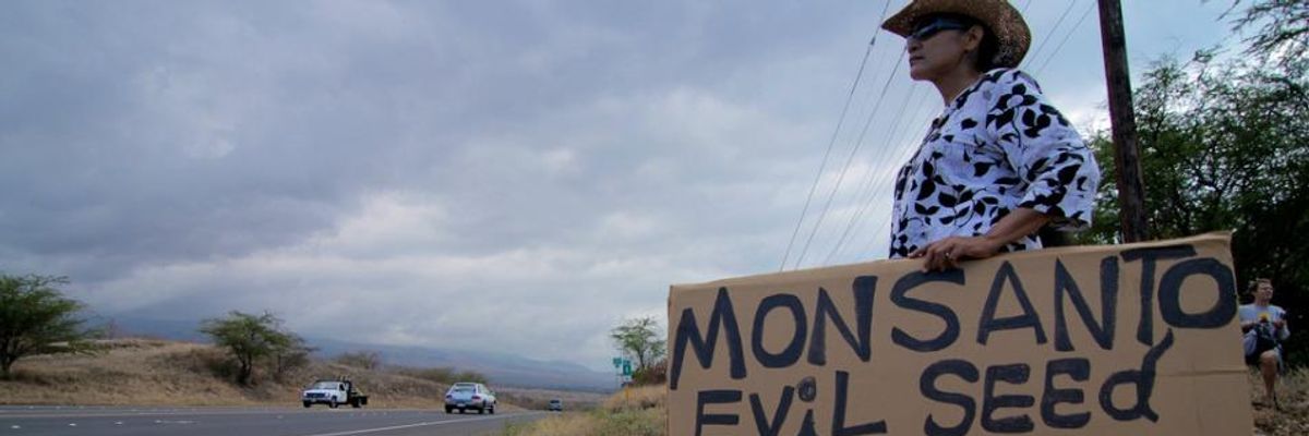 Monsanto, Dow Chemical File Lawsuit to Destroy Maui County's GMO Ban