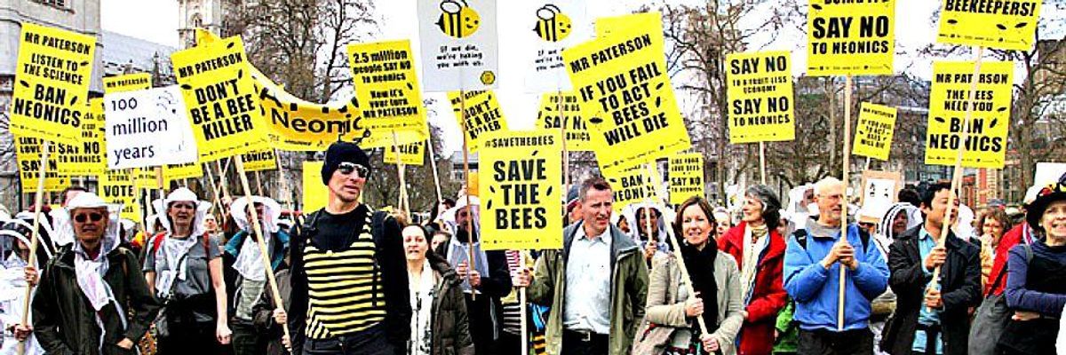 New Study Reveals Yet More Risks to Bees from Controversial Pesticides