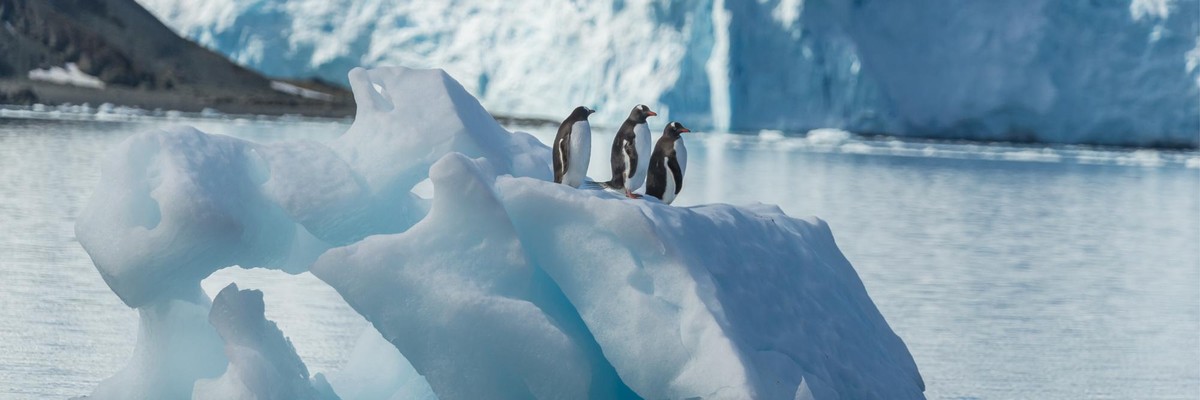 Study Warns of 'Rapid and Unstoppable' Sea Level Rise If World Misses Paris Climate Targets