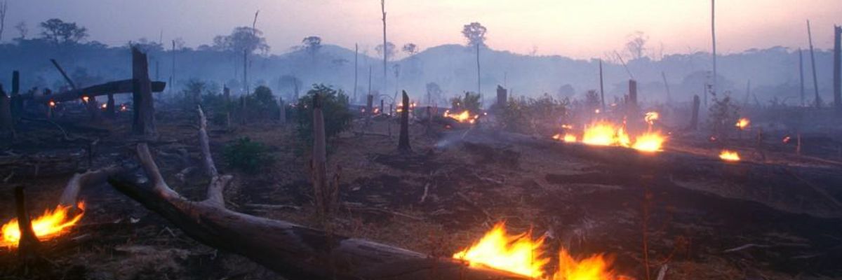 World Environment Day Provokes Warnings That 'To Care for Humanity, We Must Care for Nature'