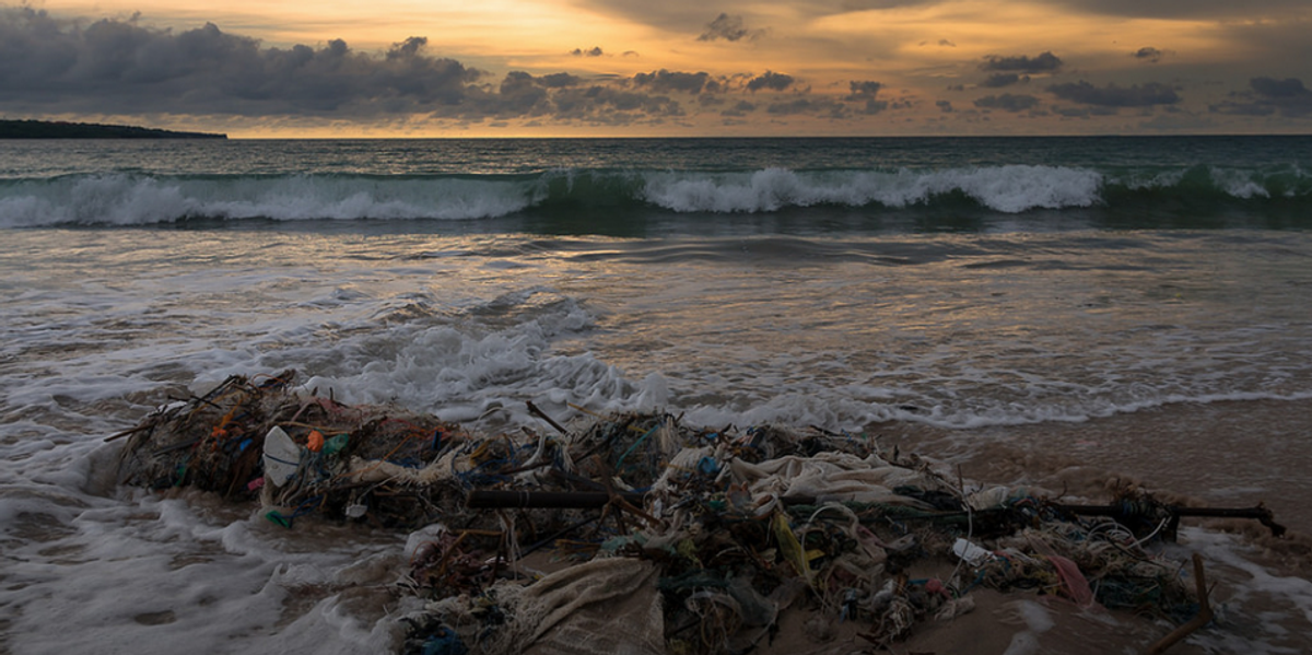 Humanity Sleep-Walking Toward 'Mass Extinction'