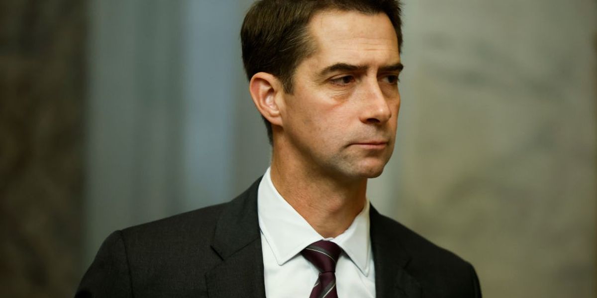 Opinion | Tom Cotton: The Nation's Very Worst Veteran | Common Dreams