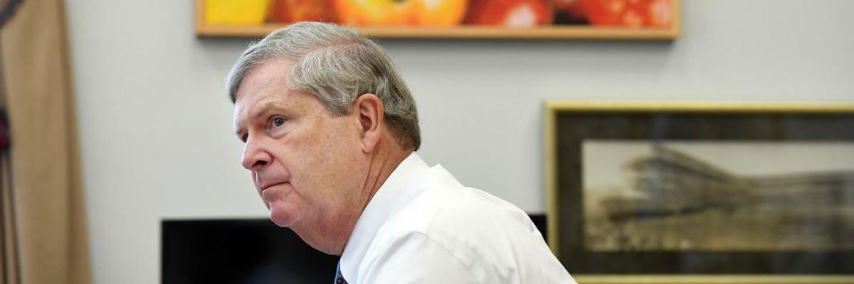 'A Terrible Decision': Progressives Denounce Biden Pick of 'Mr. Monsanto' Tom Vilsack as Ag Secretary