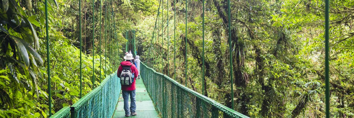 Tourists cross a hanging bridge in the treetops of Costa Rica's Monteverde cloud forest on July 18, 2018.