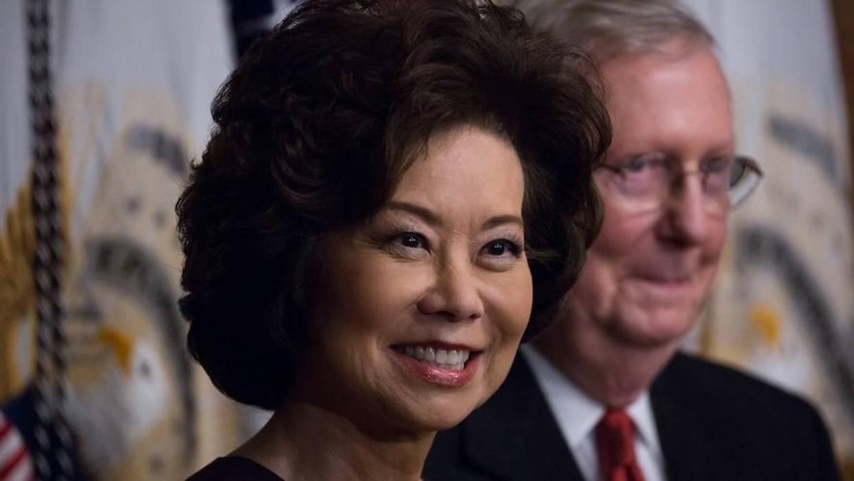 Quitting Trump Cabinet Is 'Not Courageous, It's Cowardly,' Say Supporters of 25th Amendment Ouster