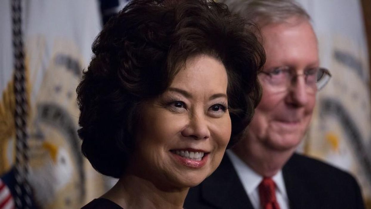 Quitting Trump Cabinet Is 'Not Courageous, It's Cowardly,' Say Supporters of 25th Amendment Ouster