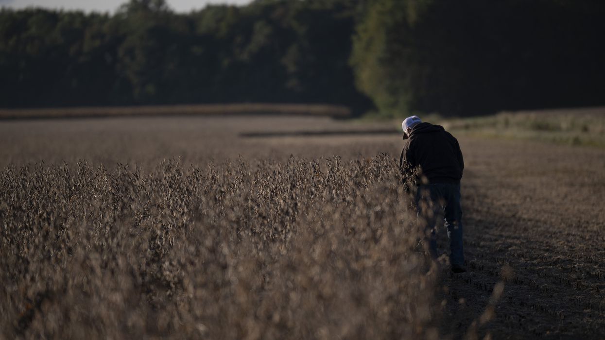 'A Man-Made Crisis Caused by Trump': US Soy Farmers Reeling Amid MAGA Trade War