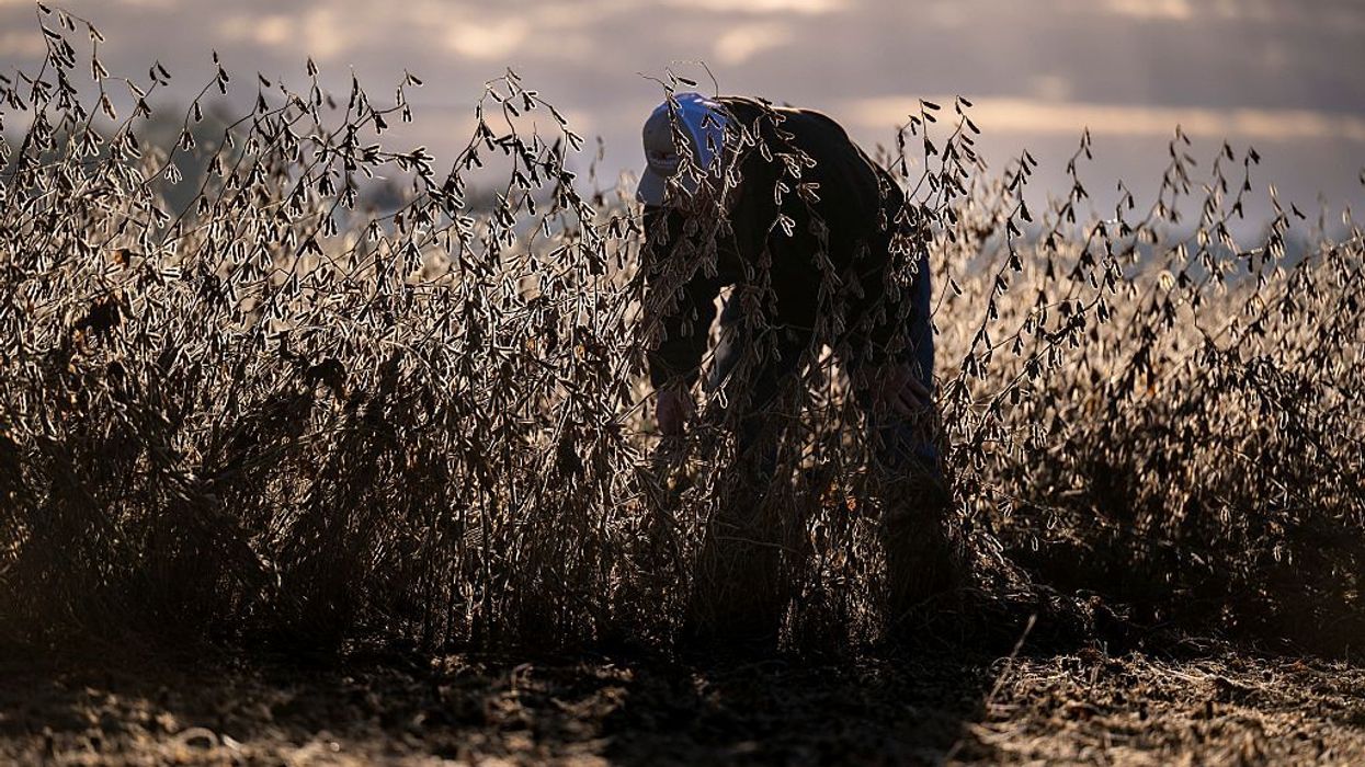 Farmers Say Trump Tariffs Crushing Operations, Forcing Higher Prices Ahead of Holiday Season