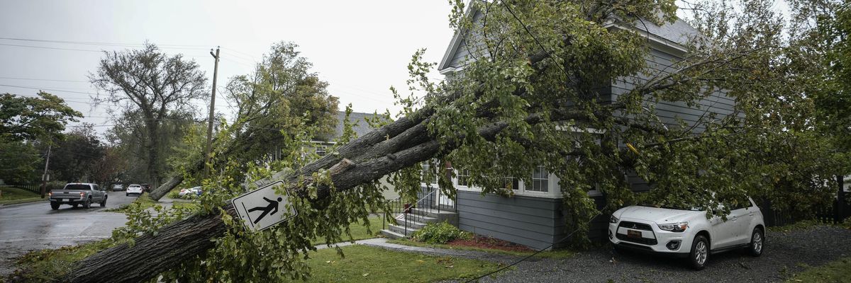 Tree fallen on power lines and house