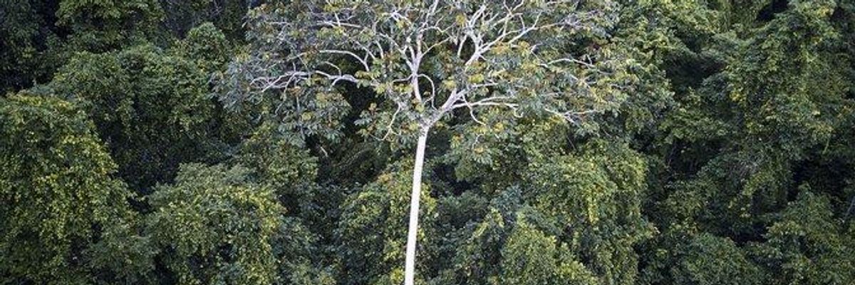 The Open Amazon and Its Enemies: A Call for Action and Optimism