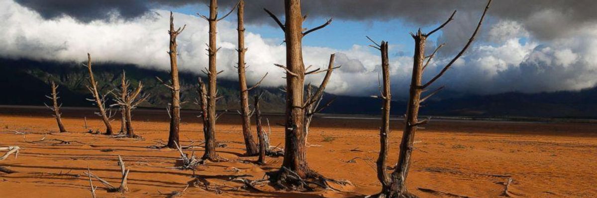 Climate Bellwether? With Cape Town Almost Out of Water, "Day Zero" Looms