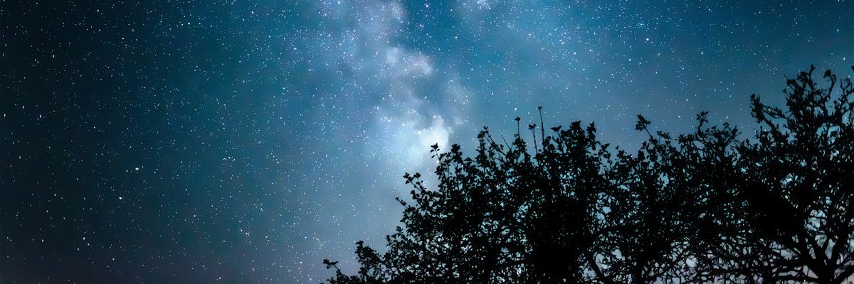 Trees and stars
