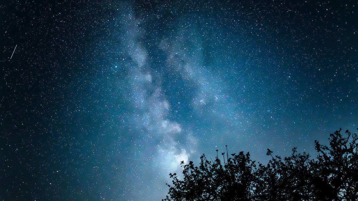 Trees and stars