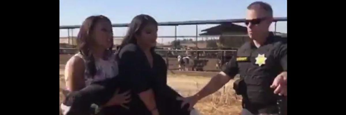 Three Women Charged With Grand Theft Felony For Saving Thrown Away Baby Cow