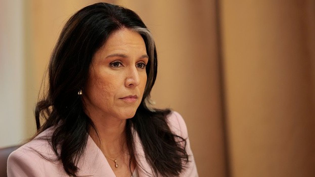 Tulsi Gabbard at a Cabinet Meeting