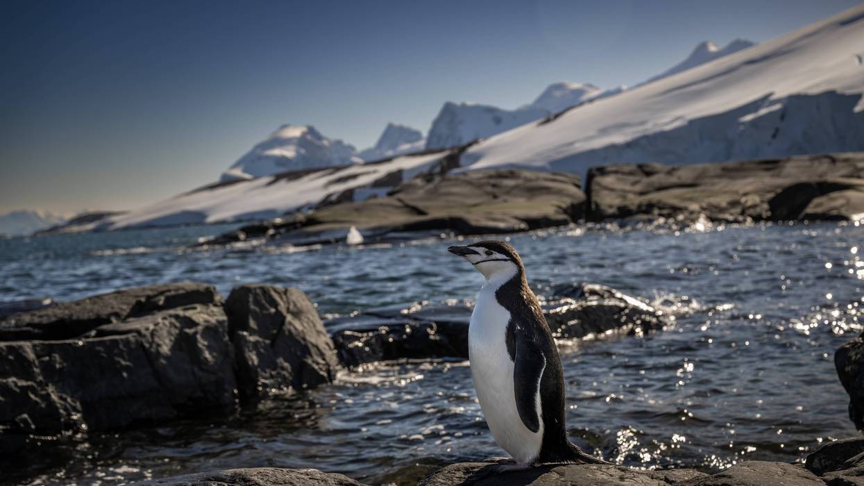 Turkiye's 10th National Antarctic Scientific Expedition has come to an end
